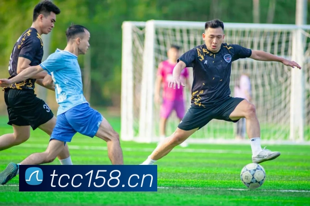 kaiyun体育官方网站登录入口iso全站App